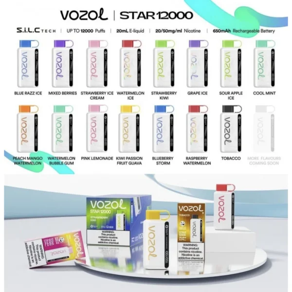 Vozol Star 12000 Puff