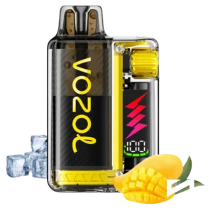 Vozol-Vista-Plug-10000-Mango-Ice-11-300×300-1.webp