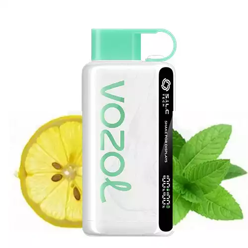 vozol-12000-lemon-mint-market-500×500-min.webp