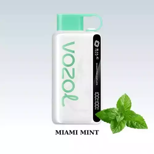 vozol-12000-puff-miami-mint-puff-sigara-500×500-min.webp